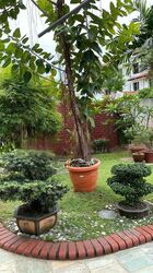 Lorong Mydin (D14), Semi-Detached #471339761